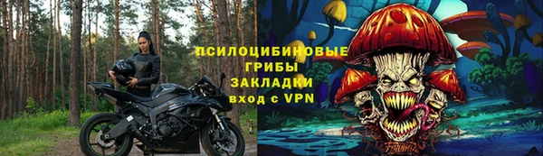 шишки Богородицк